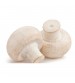 Thanvi Shroomness Premium Grain Spawn Button Mushroom (Seeds) 350 grams
